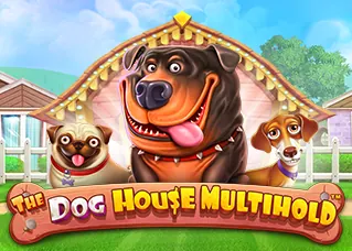b2y ล่าสุด The Dog House Multihold ทดลองเล่นฟรี